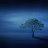 Calmer